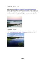 Konspekts 'Latvijas Republikas pase', 12.