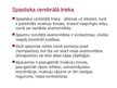 Prezentācija 'Bērnu cerebrālā trieka', 8.