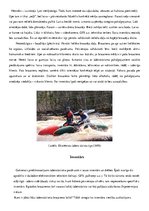 Referāts 'Ūdenstūrisms', 5.