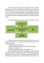 Diplomdarbs 'SIA "L`Oreal Baltic" konkurētspējas kāpināšanas iespējas Kurzemes reģionā', 17.