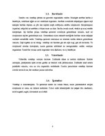 Referāts 'Dzīvnieku valsts', 6.