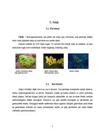 Referāts 'Dzīvnieku valsts', 7.