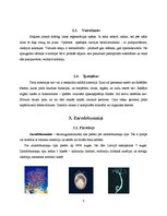 Referāts 'Dzīvnieku valsts', 8.