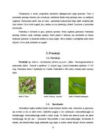 Referāts 'Dzīvnieku valsts', 12.