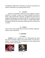 Referāts 'Dzīvnieku valsts', 15.