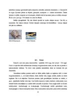 Referāts 'Dzīvnieku valsts', 20.