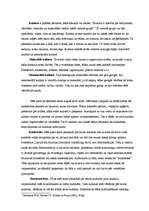 Konspekts 'Kultūra un tās veidi', 1.