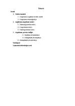 Referāts 'Anglicismi', 1.