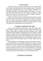 Referāts 'Anglicismi', 2.