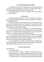 Referāts 'Brīvprātīgo resursu izmantošana Latvijas Sarkanā Krusta Jaunatnes organizācijas ', 9.