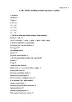 Referāts 'Brīvprātīgo resursu izmantošana Latvijas Sarkanā Krusta Jaunatnes organizācijas ', 33.