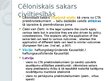 Prezentācija 'Cēloniskais sakars kā civiltiesiskās atbildības priekšnoteikums', 5.