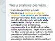 Prezentācija 'Cēloniskais sakars kā civiltiesiskās atbildības priekšnoteikums', 20.