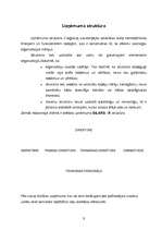 Referāts 'Firmas "Silars - R" resursu izmantošanas un kontroles efektivitātes analīze', 5.