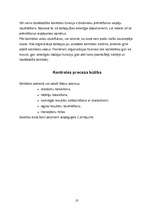 Referāts 'Firmas "Silars - R" resursu izmantošanas un kontroles efektivitātes analīze', 21.