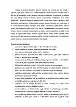 Referāts 'Smēķēšanas kaitīgā ietekme', 5.