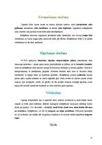 Referāts 'Smēķēšanas kaitīgā ietekme', 10.