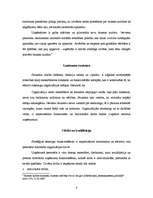 Referāts 'Korporatīvā līmeņa stratēģijas', 6.