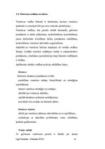 Prakses atskaite 'Viesnīcas "Reval Hotel Latvija" raksturojums', 13.