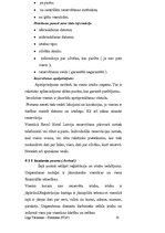 Prakses atskaite 'Viesnīcas "Reval Hotel Latvija" raksturojums', 22.