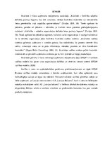 Referāts 'Uzņēmuma AS „Latvijas Balzams”  novērtējums pēc EFQM izcilības modeļa', 4.