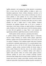 Referāts 'Dators un cilvēks', 2.