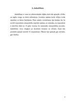 Referāts 'Dators un cilvēks', 6.