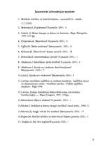 Referāts 'Dators un cilvēks', 19.