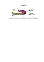 Referāts 'Dators un cilvēks', 29.