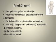 Prezentācija 'Nezināmais viesis restorānā', 11.