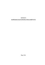 Referāts 'Iespējamās katastrofas Rīgas brīvostā', 1.