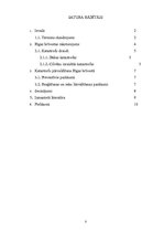 Referāts 'Iespējamās katastrofas Rīgas brīvostā', 2.