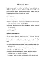 Referāts 'Iespējamās katastrofas Rīgas brīvostā', 6.