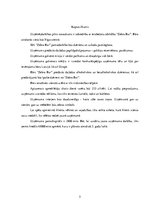 Referāts 'Bārs', 5.