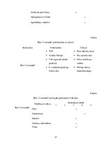 Referāts 'Bārs', 25.