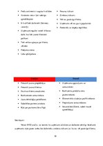 Referāts 'Bārs', 30.