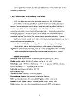 Prakses atskaite 'SIA "X" finanšu analīze', 4.