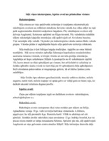 Konspekts 'Sēļi: viņu raksturojums, izpētes avoti un pētniecības vēsture', 1.