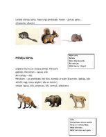 Konspekts 'Zooloģija. Zīdītāju kārtas Latvijā', 3.