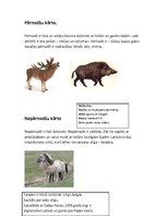 Konspekts 'Zooloģija. Zīdītāju kārtas Latvijā', 4.