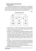 Referāts 'Kontroles būtība un loma', 4.