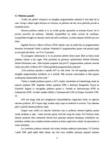 Referāts 'Pirātisms internetā', 7.