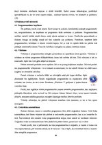 Referāts 'Pirātisms internetā', 10.