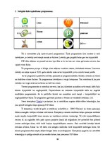 Referāts 'Pirātisms internetā', 13.