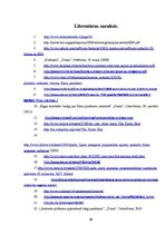 Referāts 'Pirātisms internetā', 25.