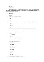 Referāts 'Pirātisms internetā', 26.