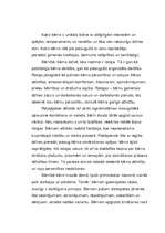 Referāts 'Rotaļa', 2.