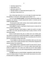 Referāts 'Pansijas "Saulrieti" izveides un attīstības plāns ', 16.