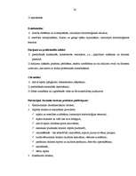 Referāts 'Pansijas "Saulrieti" izveides un attīstības plāns ', 26.