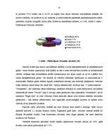 Referāts 'Pansijas "Saulrieti" izveides un attīstības plāns ', 28.